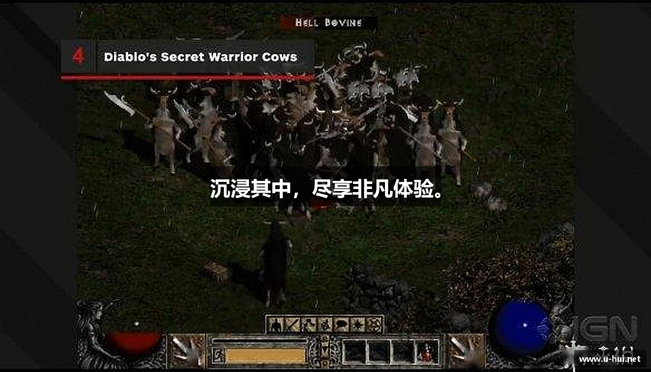 沉浸其中，尽享非凡体验。